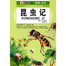 小笨熊典藏彩图注音·小学生新课标课外读物（第9辑）：昆虫记