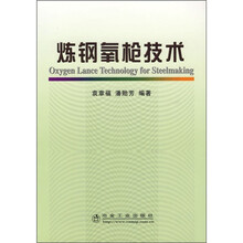 炼钢氧枪技术