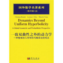 一致双曲线之外的动力学：一种整体的几何学的与概率论的观点