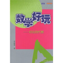 数学好玩丛书:好玩的代数