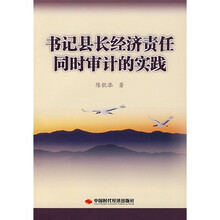 书记县长经济责任同时审计的实践