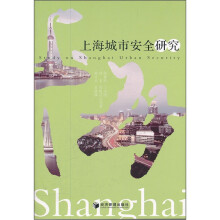 上海城市安全研究