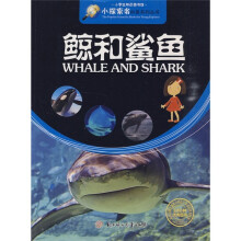 小探索者科普系列丛书·小学生知识图书馆:鲸和鲨鱼