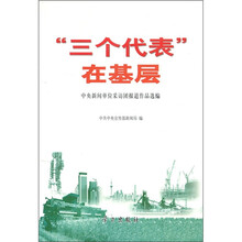 “三个代表”在基层（附光盘2张）