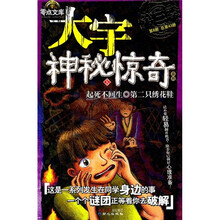 大宇神秘惊奇系列8：起死不回生·第二只绣花鞋