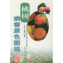 桃树病害原色图说