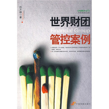 世界财团管控案例