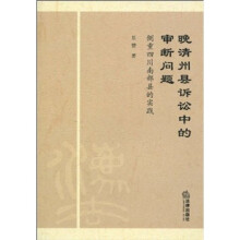 晚清州县诉讼中的审断问题:侧重四川南部县的实践