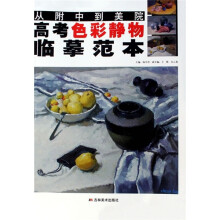 从附中到美院高考色彩静物临摹范本