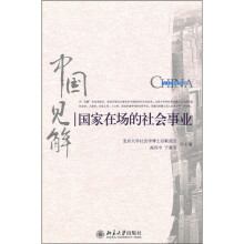 中国见解：国家在场的社会事业
