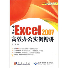 中文版Excel 2007高效办公实例精讲(附光盘)