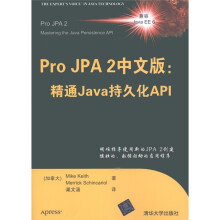 Pro JPA2中文版:精通Java持久化API
