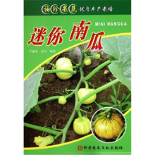 迷你南瓜