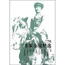 苏策小说精选