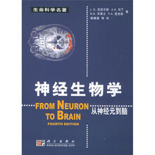 神经生物学：从神经元到脑