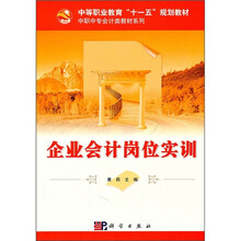 企业会计岗位实训