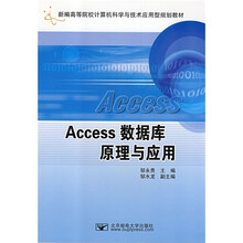 Access数据库原理与应用