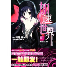 加速世界1：黑雪公主再临