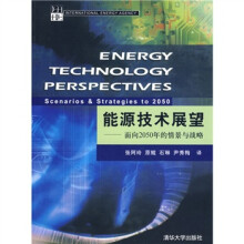 能源技术展望：面向2050年的情景与战略