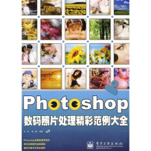 Photoshop数码照片处理精彩范例大全(全彩)(附DVD光盘1张)