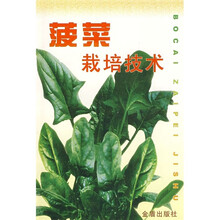 菠菜栽培技术