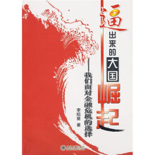逼出来的大国崛起：我们面对金融危机的选择