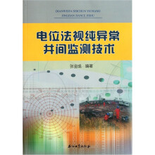 电位法视纯异常井间监测技术