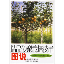 精品砂梨栽培技术图说