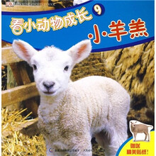 看小动物成长9：小羊羔