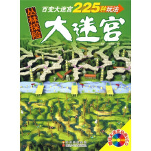 大迷宫:丛林探险(赠送大迷宫动画VCD光盘1张)