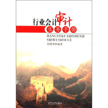 行业会计审计实务手册