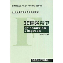 21世纪高校保险专业系列教材：非寿险精算