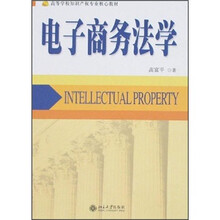 高等学校知识产权专业核心教材：电子商务法学