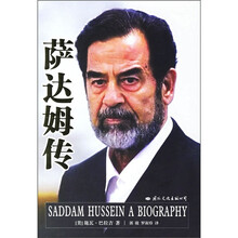 萨达姆传