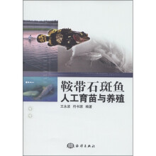 鞍带石斑鱼人工育苗与养殖