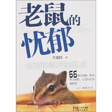 老鼠的忧郁