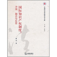 国际知识产权制度：冲突、融合与反思