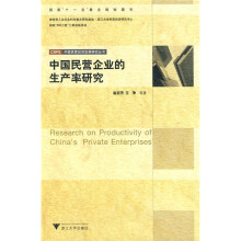 中国民营企业生产效率研究