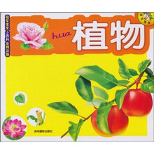 冠军宝宝小百科金牌读物：植物