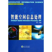 高等学校地图学与地理信息系统系列教材:智能空间信息处理