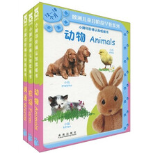 欧洲儿童分阶段早教系列：小脚印阶梯认知纸板书（12-18个月）（套装共3册）