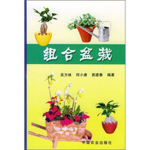 组合盆栽