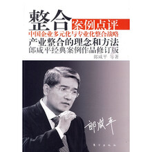 整合（修订版）：案例点评