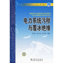普通高等教育“十一五”规划教材:电力系统污秽与覆冰绝缘