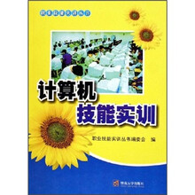 计算机技能实训