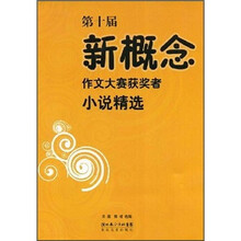 第十届新概念作文大赛获奖者小说精选