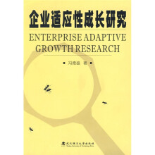 企业适应性成长研究