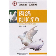 肉鸽健康养殖