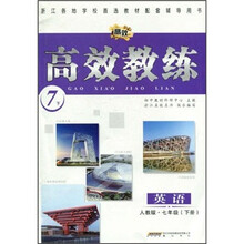 高效教练：英语（7年级下册）（人教版）