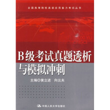 B级考试真题透析与模拟冲刺(附光盘)